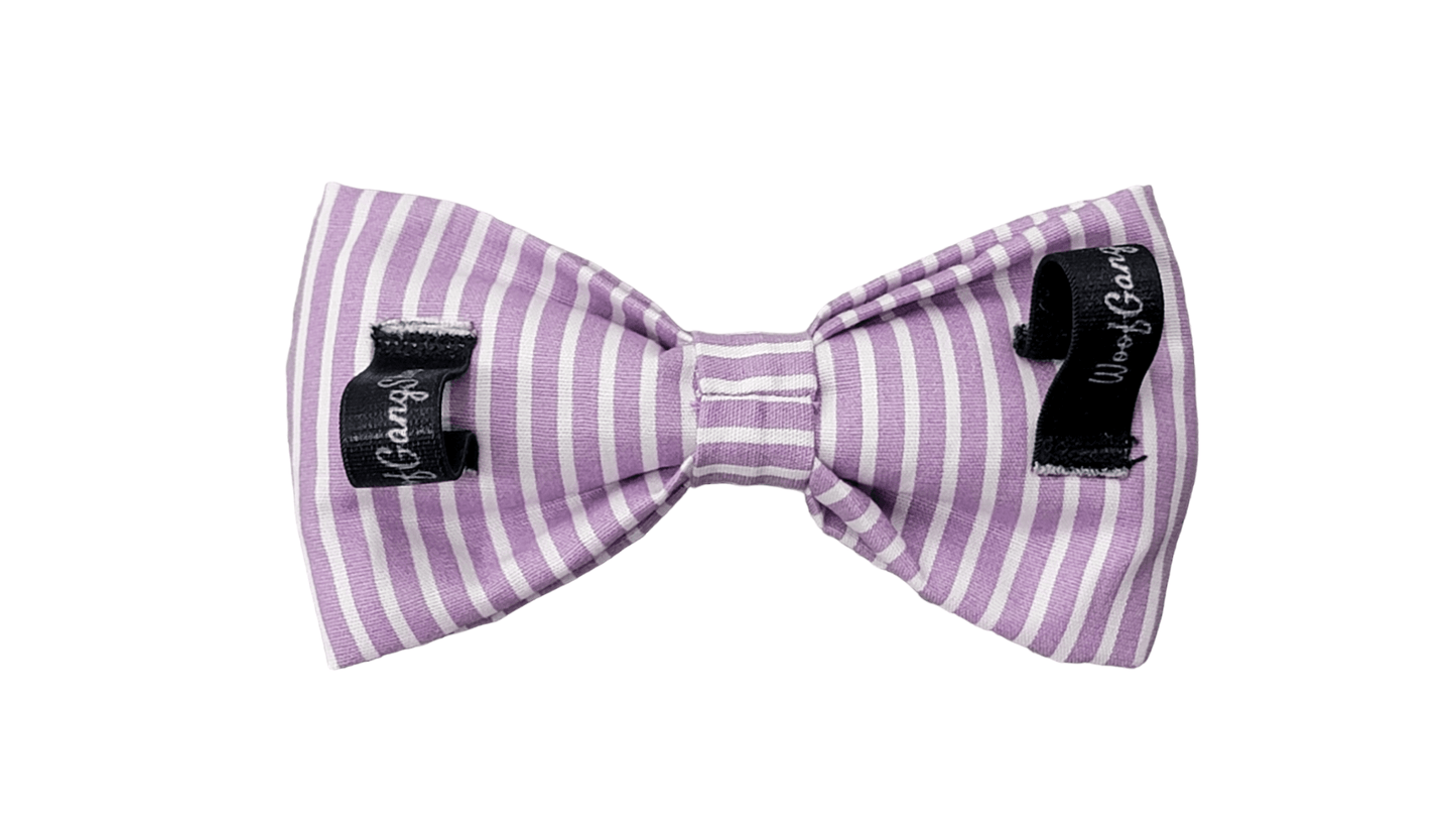 Bowtie - Medium - Purple Stripes - Ruffingdales, Inc