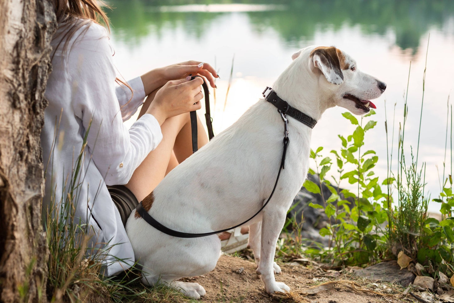 Celtic Sport Style Soft Leather Collar - Ruffingdales, Inc