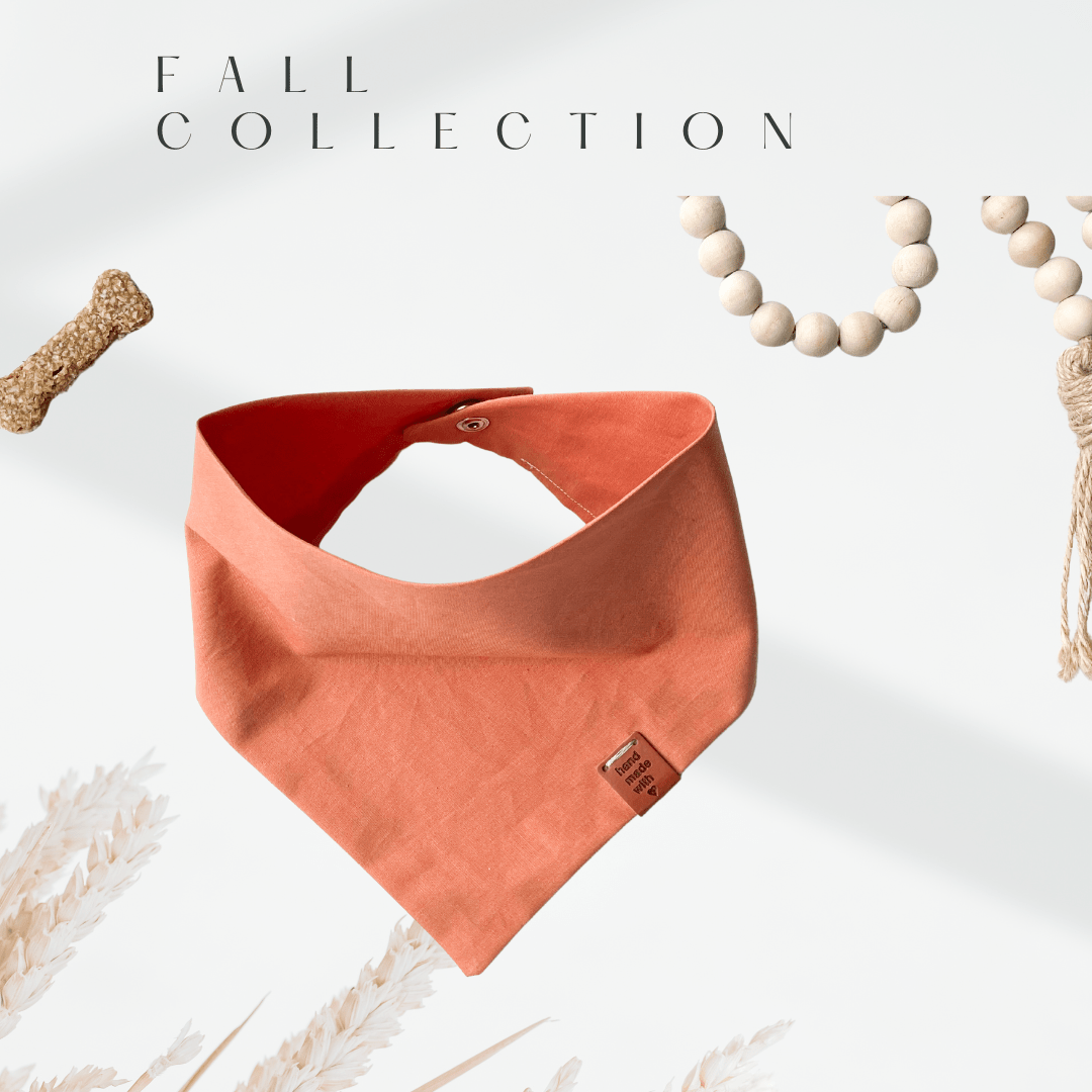 Citrus Bandana - Ruffingdales, Inc