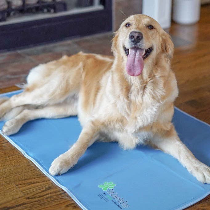 Cool Pet Pad - Ruffingdales, Inc