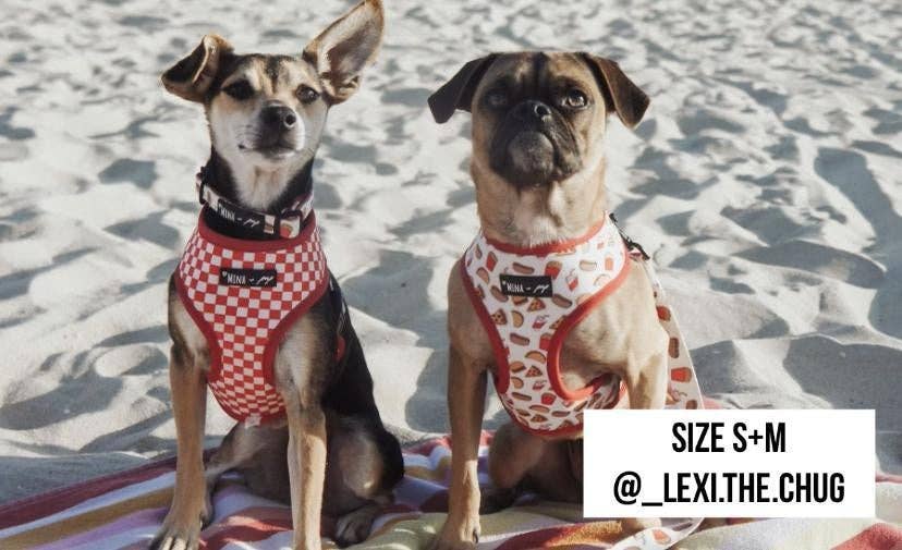 Drive - In Diner Reversible Harness - Ruffingdales, Inc
https://ruffingdales.com › products › drive-in-diner-reversible-harness