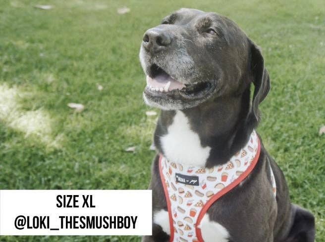 Drive - In Diner Reversible Harness - Ruffingdales, Inc
https://ruffingdales.com › products › drive-in-diner-reversible-harness