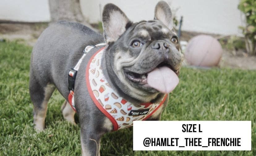 Drive - In Diner Reversible Harness - Ruffingdales, Inc
https://ruffingdales.com › products › drive-in-diner-reversible-harness