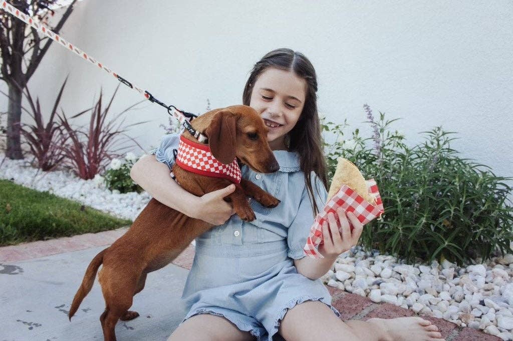 Drive - In Diner Reversible Harness - Ruffingdales, Inc
https://ruffingdales.com › products › drive-in-diner-reversible-harness