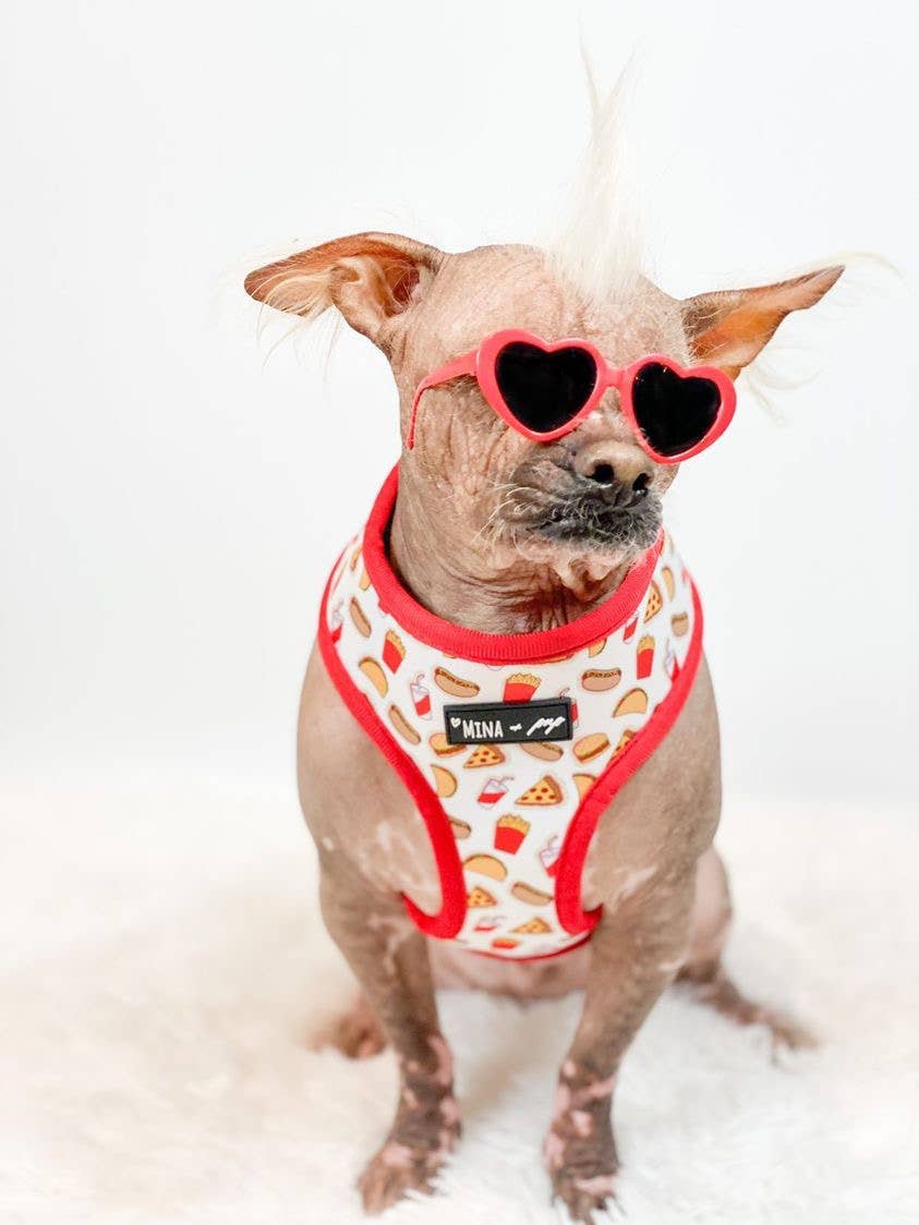 Drive - In Diner Reversible Harness - Ruffingdales, Inc
https://ruffingdales.com › products › drive-in-diner-reversible-harness