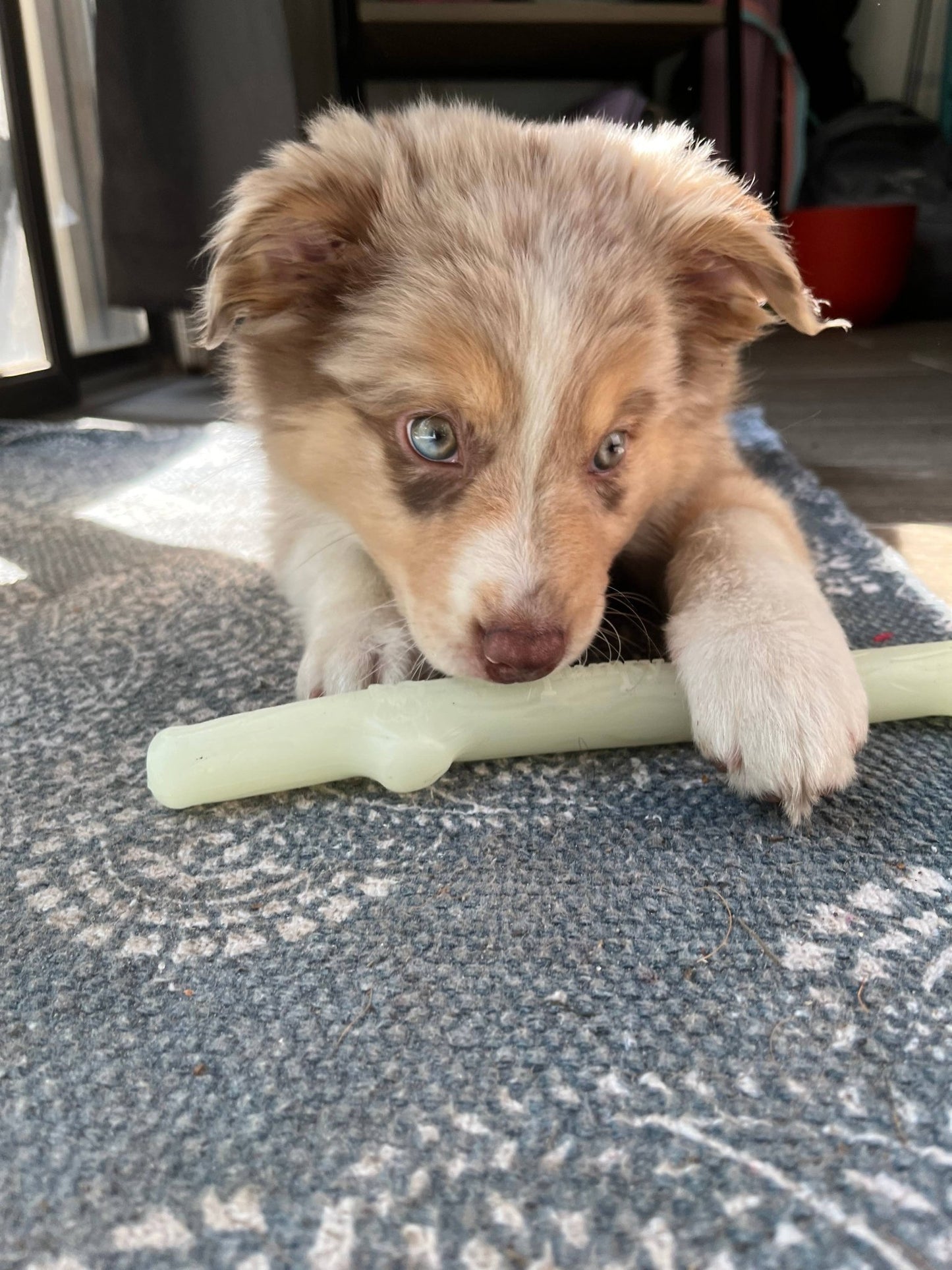 Fetch & Glow Stick - Ruffingdales, Inc
https://ruffingdales.com/products/fetch-glow-stick-made-in-the-usa