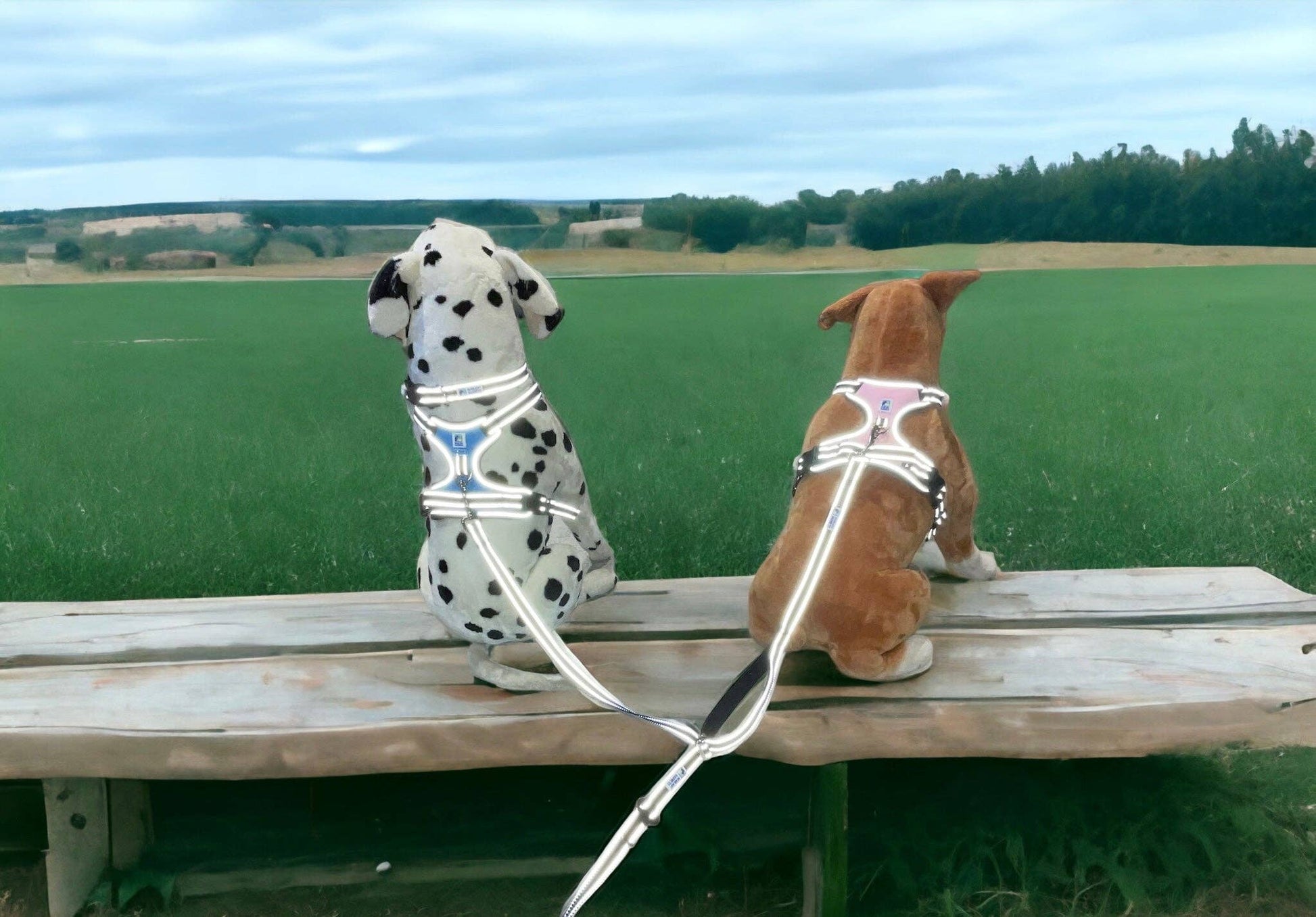 Headlight Harness 2 Dog Reflective Double Leash - Ruffingdales, Inc
https://ruffingdales.com/products/headlight-harness-2-dog-reflective-double-leash