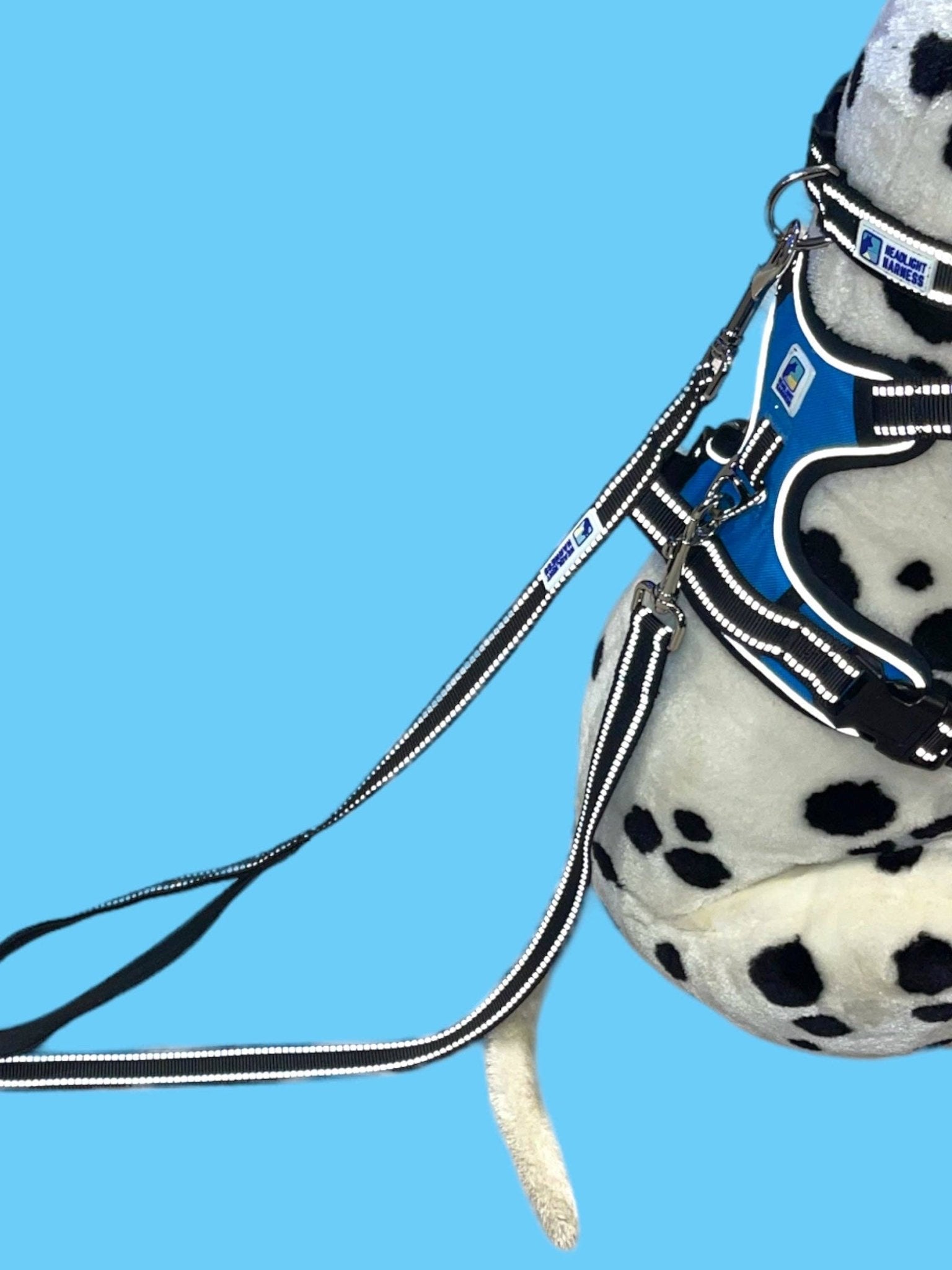 Headlight Harness 2 Dog Reflective Double Leash - Ruffingdales, Inc
https://ruffingdales.com/products/headlight-harness-2-dog-reflective-double-leash