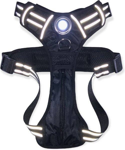 Headlight Harness LED Reflective Harness - Ruffingdales, Inc
https://ruffingdales.com › products › headlight-harness-led-reflective-dog-cat-harness