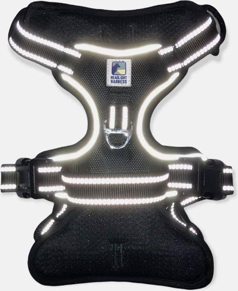 Headlight Harness LED Reflective Harness - Ruffingdales, Inc
https://ruffingdales.com › products › headlight-harness-led-reflective-dog-cat-harness