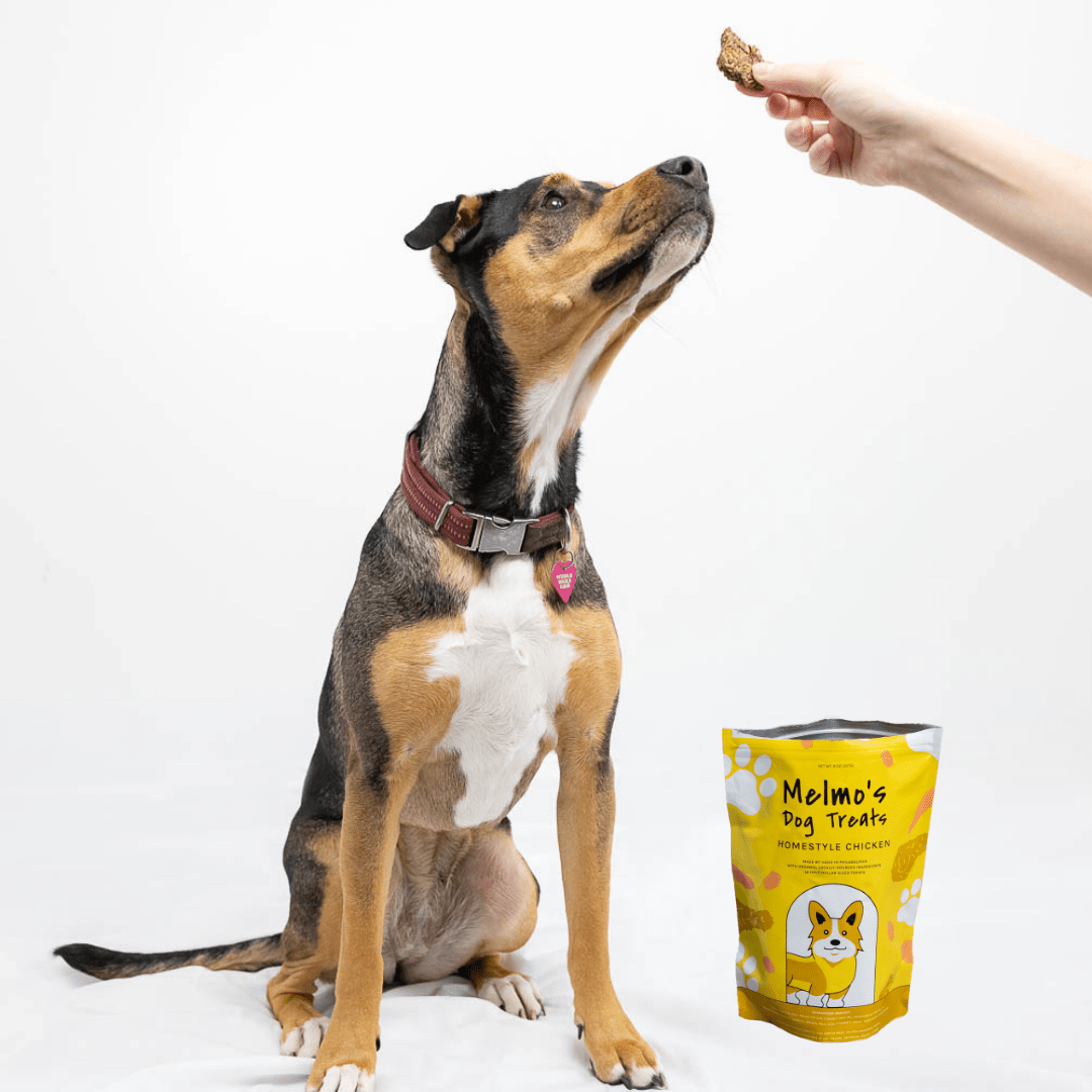 Homestyle Chicken Treats - Ruffingdales, Inc