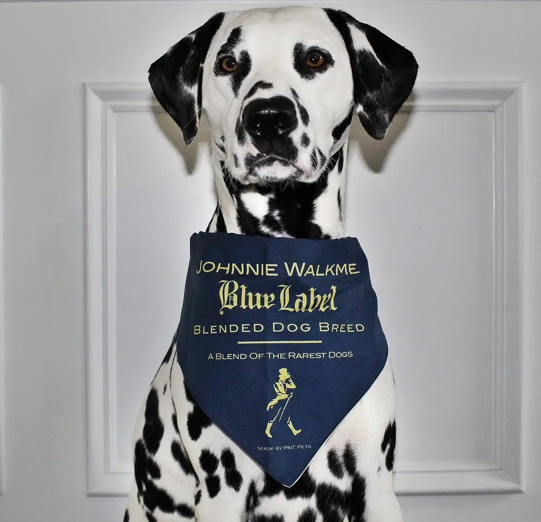 Johnnie Walkme Bandana - Ruffingdales, Inc