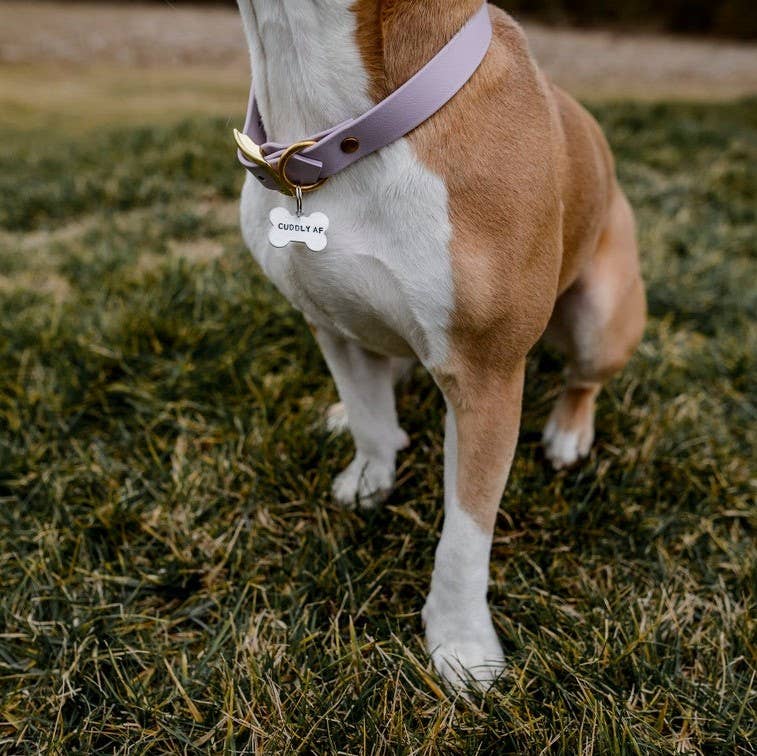 "PAIN IN THE ASS" Bone - Shaped Tag - Ruffingdales, Inc