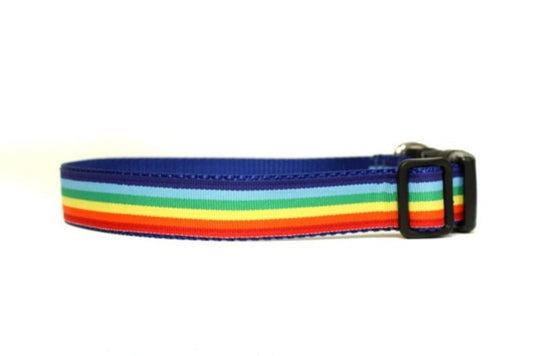 Rainbow Collar - 1" - Ruffingdales, Inc