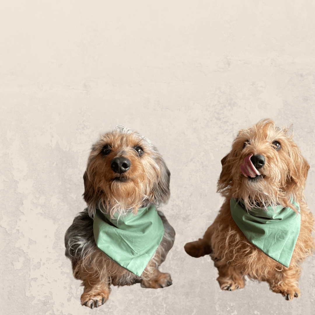 Sage Bandana - Ruffingdales, Inc