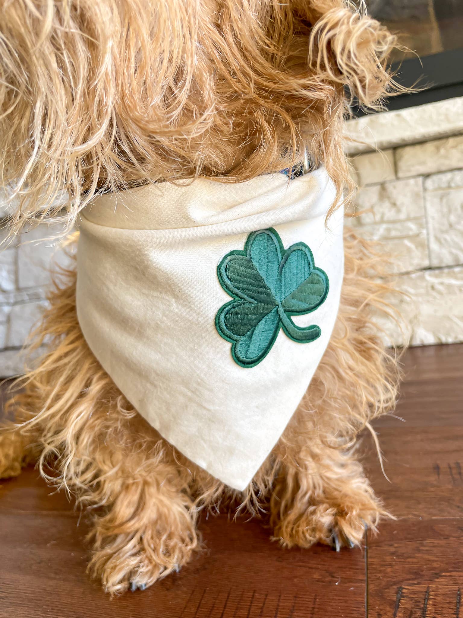 St Paddy's Day Dog Bandana - Ruffingdales, Inc
https://ruffingdales.com › products › st-paddys-day-dog-bandana-shamrock-clover-lucky-day