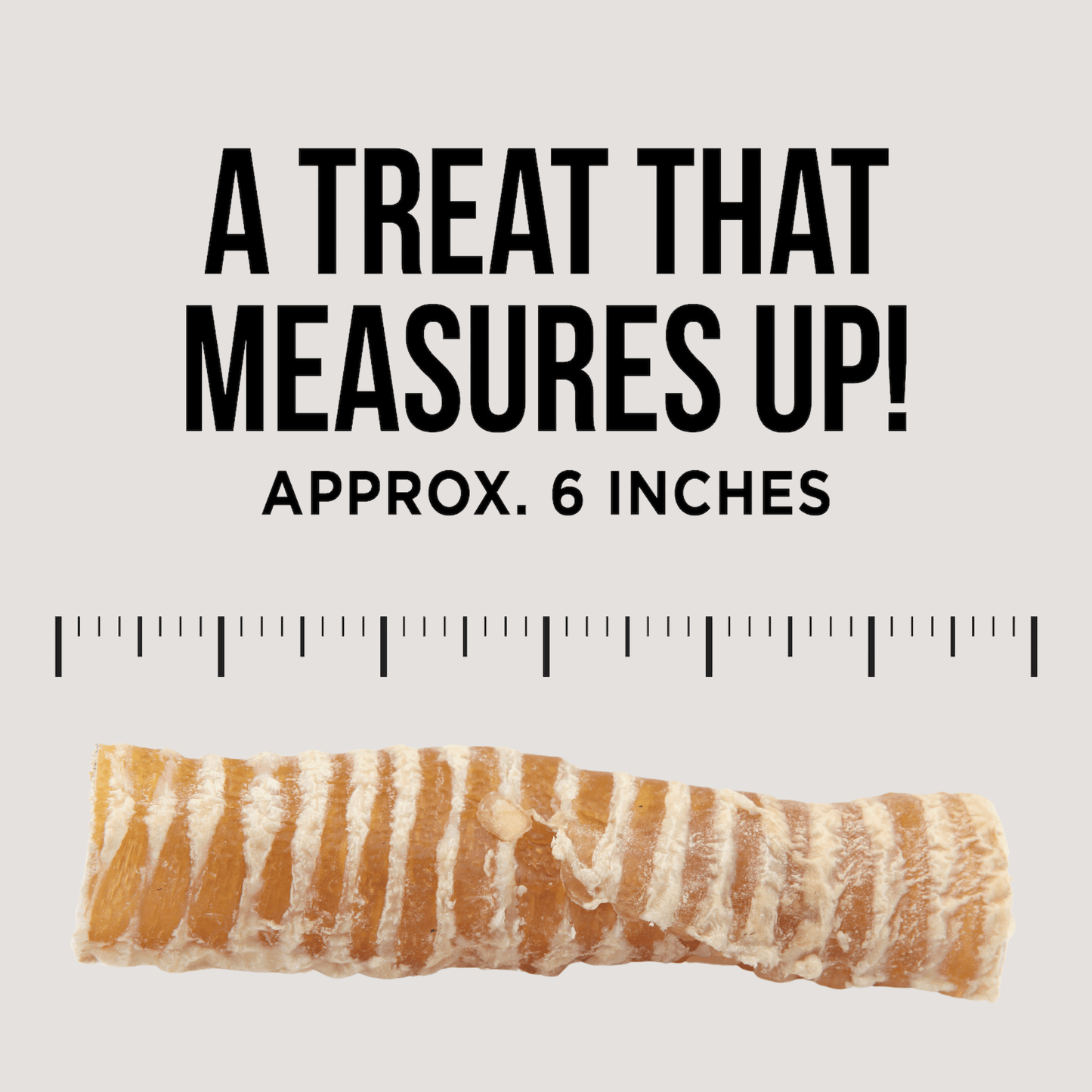 The Only Beef Trachea Chews Dogs Need - Ruffingdales, Inc