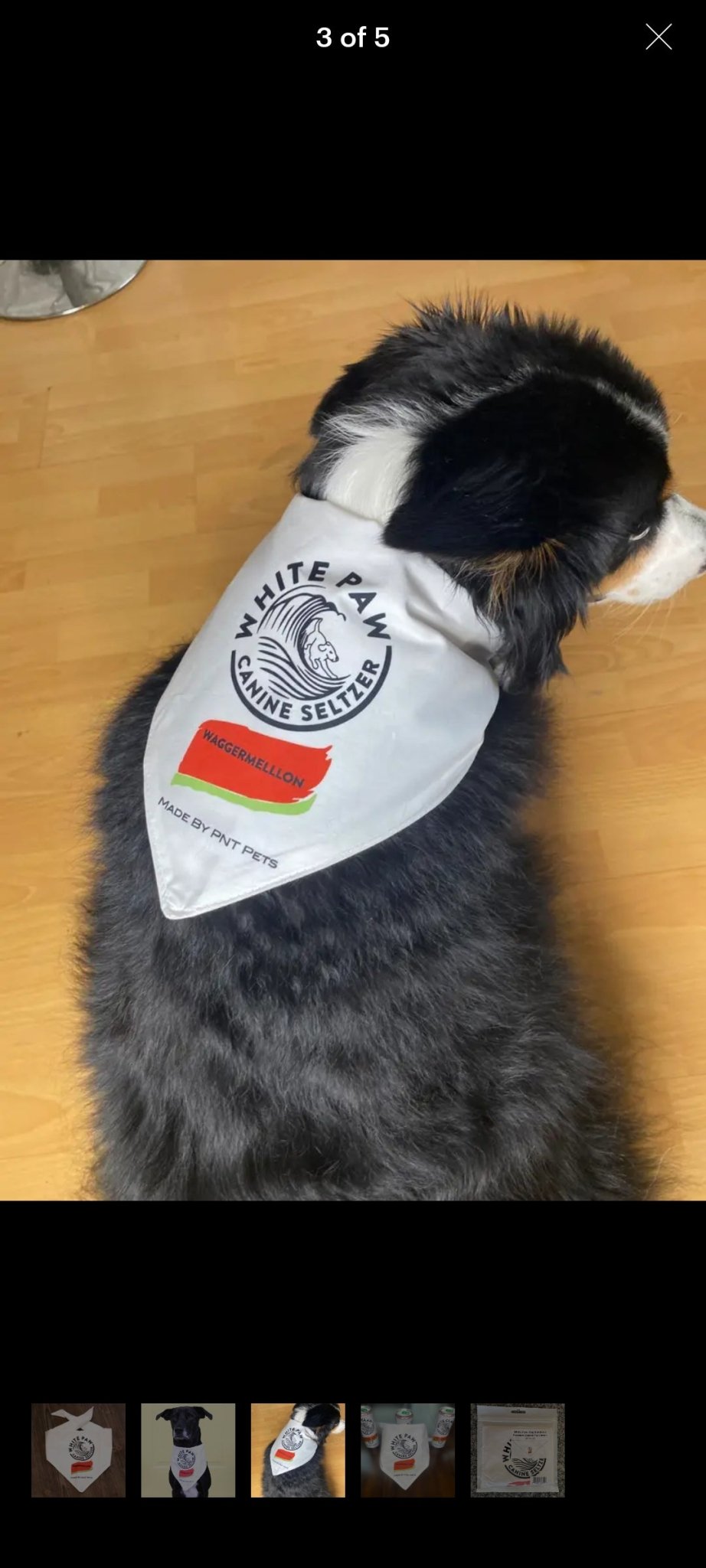 White Paw Bandana - Waggermellon - Ruffingdales, Inc