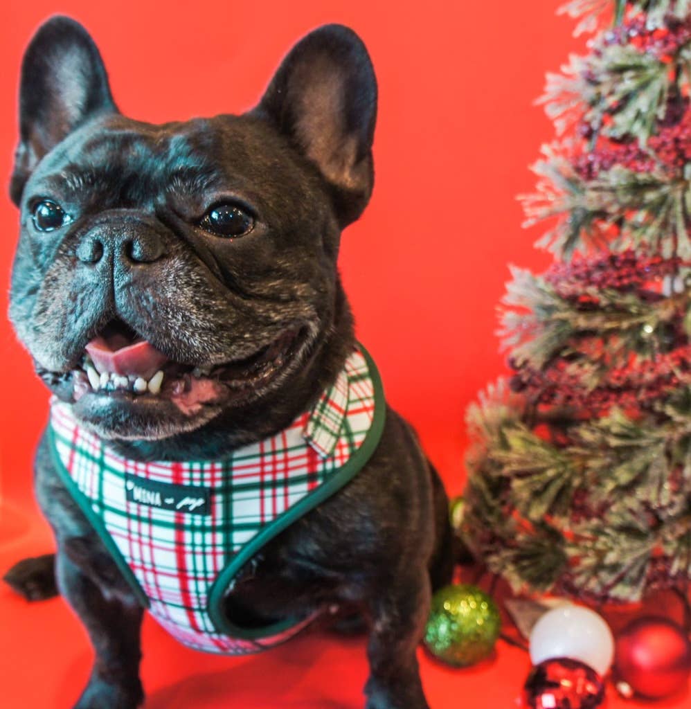 “You’re A Gift” Adjustable Harness - Ruffingdales, Inc
https://ruffingdales.com › products › you-re-a-gift-dog-cat-adjustable-harness