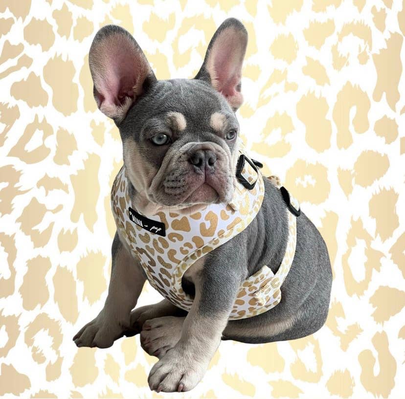 You're So Golden Adjustable Harness - Ruffingdales, Inc
https://ruffingdales.com › products › youre-so-golden-adjustable-harness-now-in-xxs-too