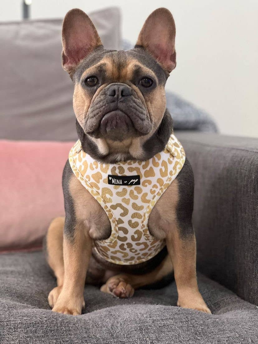 You're So Golden Adjustable Harness - Ruffingdales, Inc
https://ruffingdales.com › products › youre-so-golden-adjustable-harness-now-in-xxs-too
