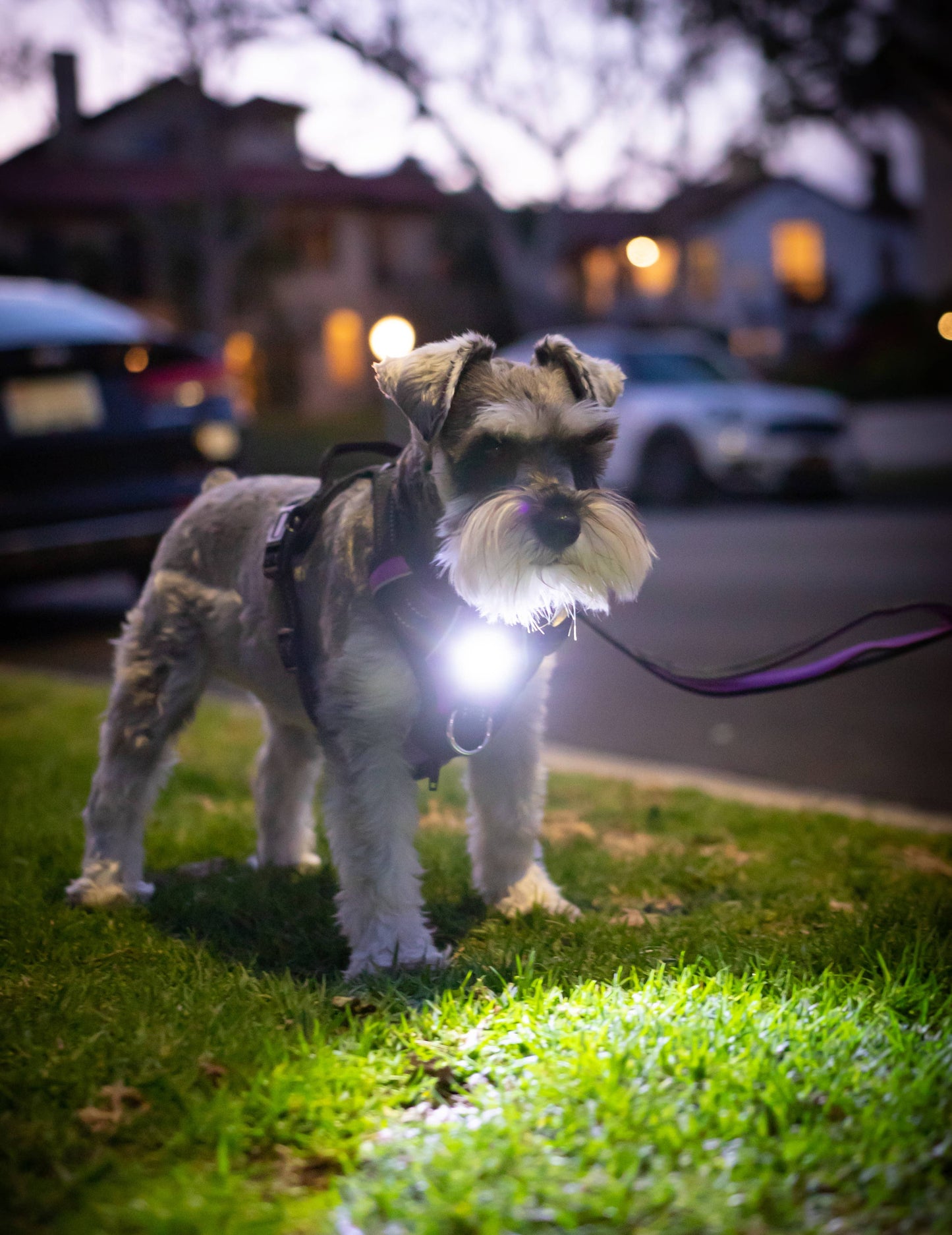 Headlight Harness LED Reflective Harness