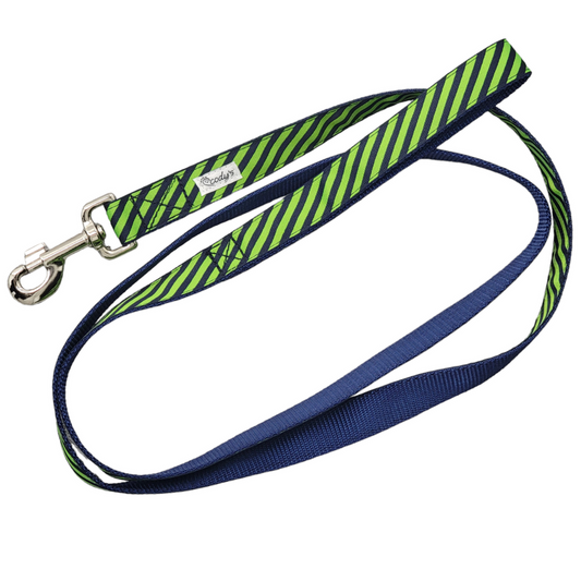 Lime/Blueberry Leash- 6ft