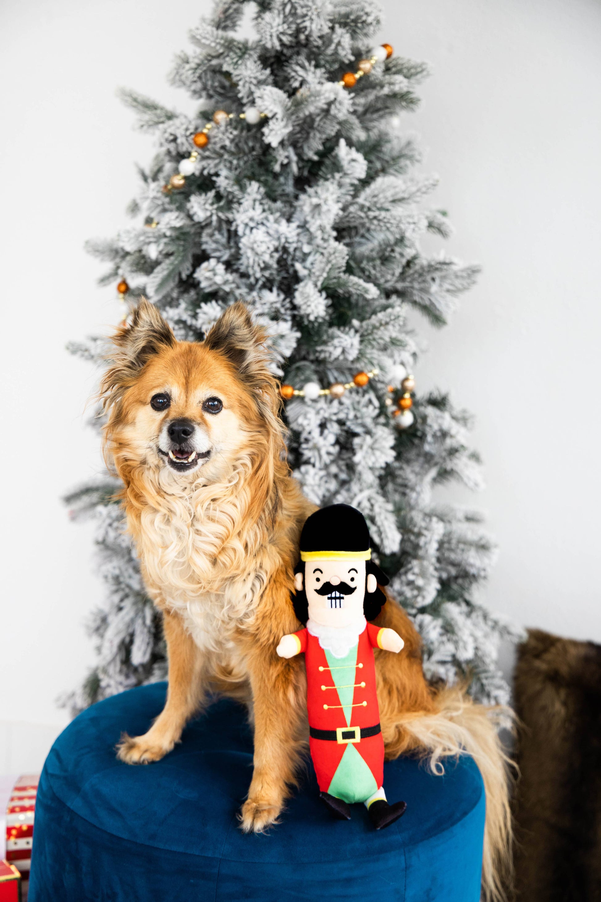 tan and white dog sitting in front of a snowy tree with a "muttcracker" toy leaning against it.