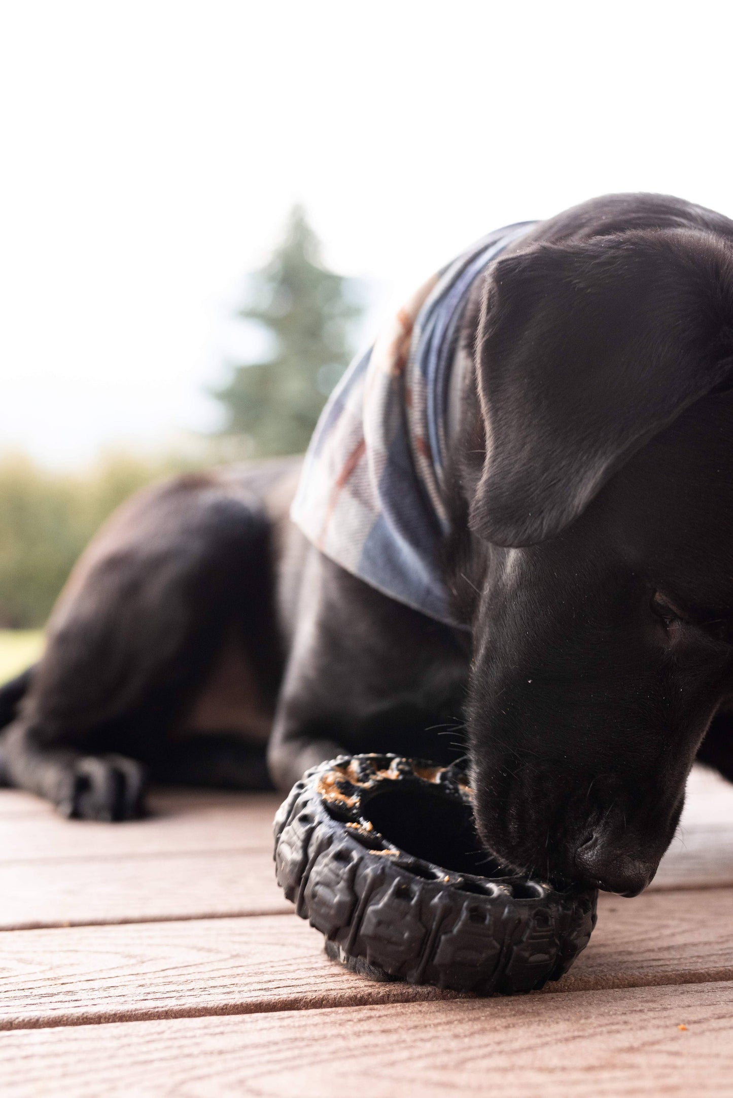 The Tire - Reclaimed Rubber Toy