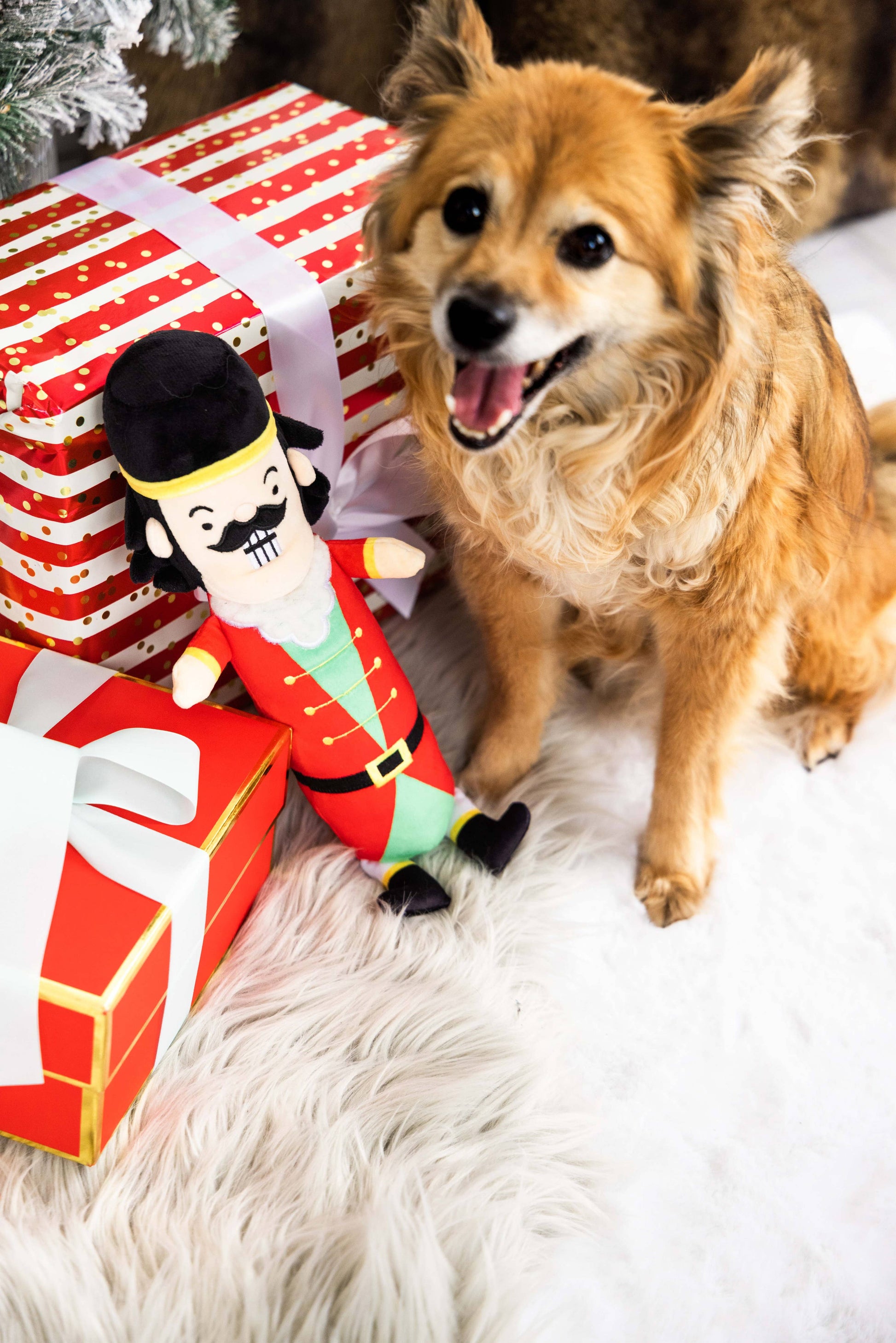 tan and white dog sitting in front of Christmas wrapped presents and "Muttcracker" toy