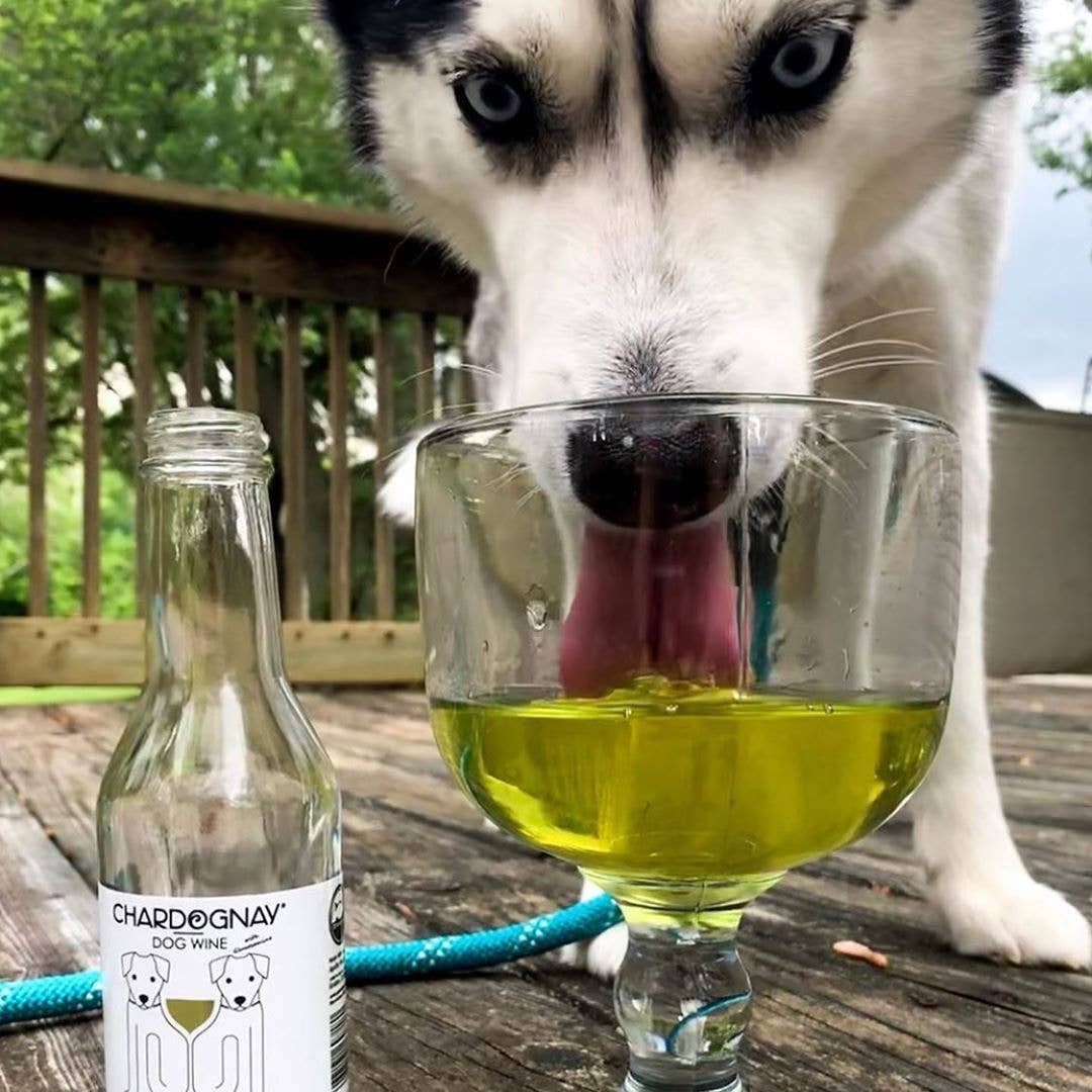 CharDOGnay Fish Oil + Bone Health Dog Wine Liquid Supplement