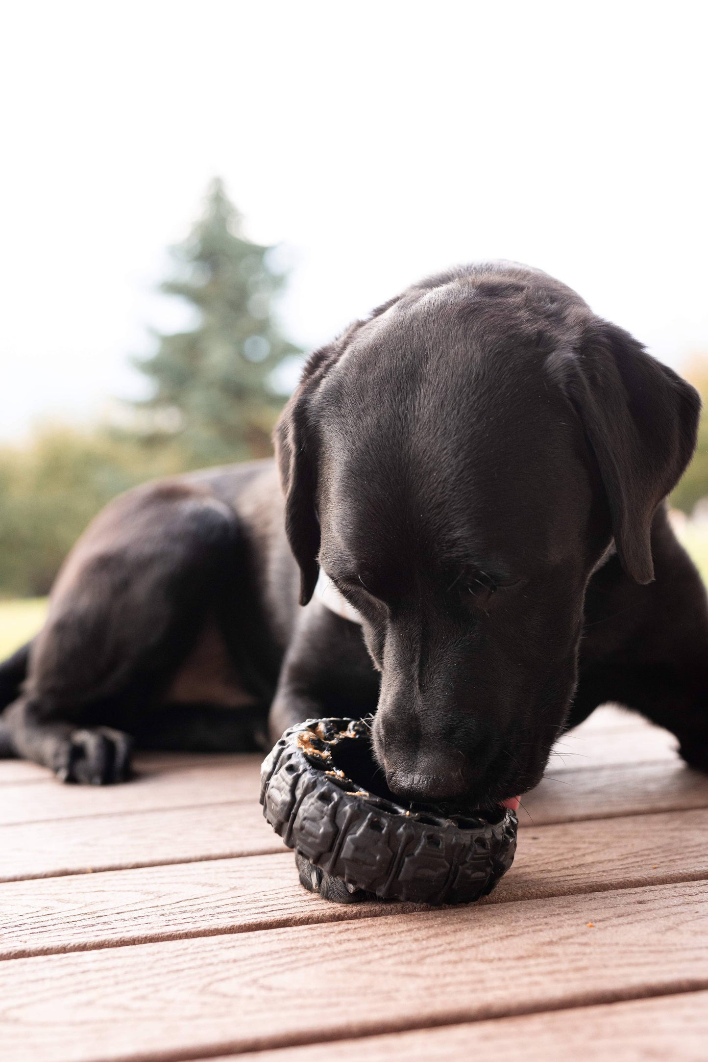 The Tire - Reclaimed Rubber Toy