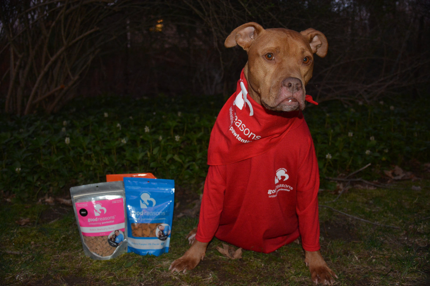 Tan dog wearing red Good Reasons t-shirt and bandana sitting next to 3 bags of Good Reasons treats