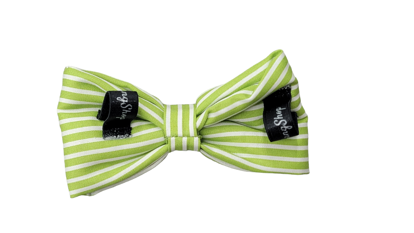 Bowtie - Medium - Green Stripes