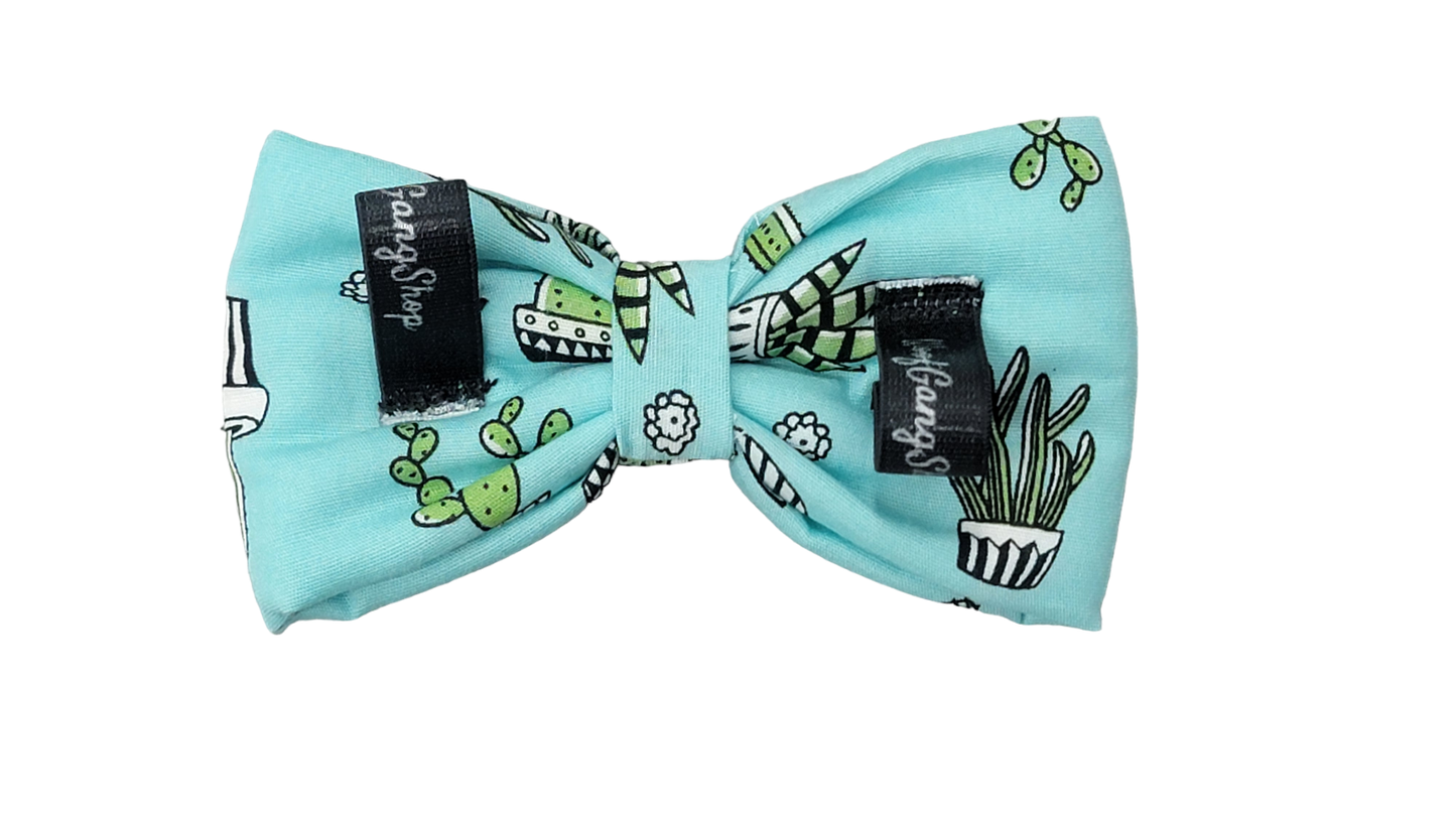 Bowtie - Medium - Cactus