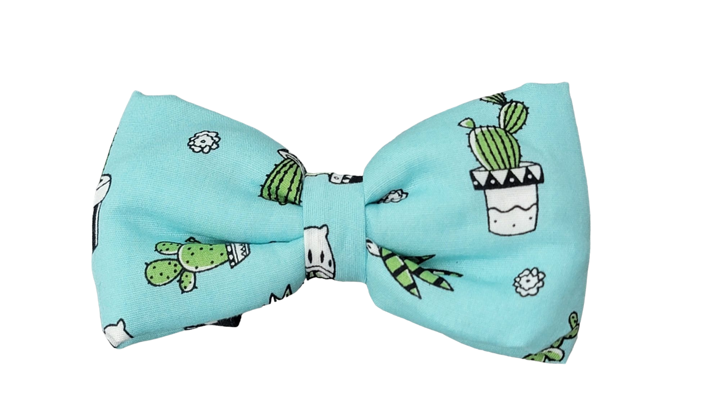 Bowtie - Medium - Cactus