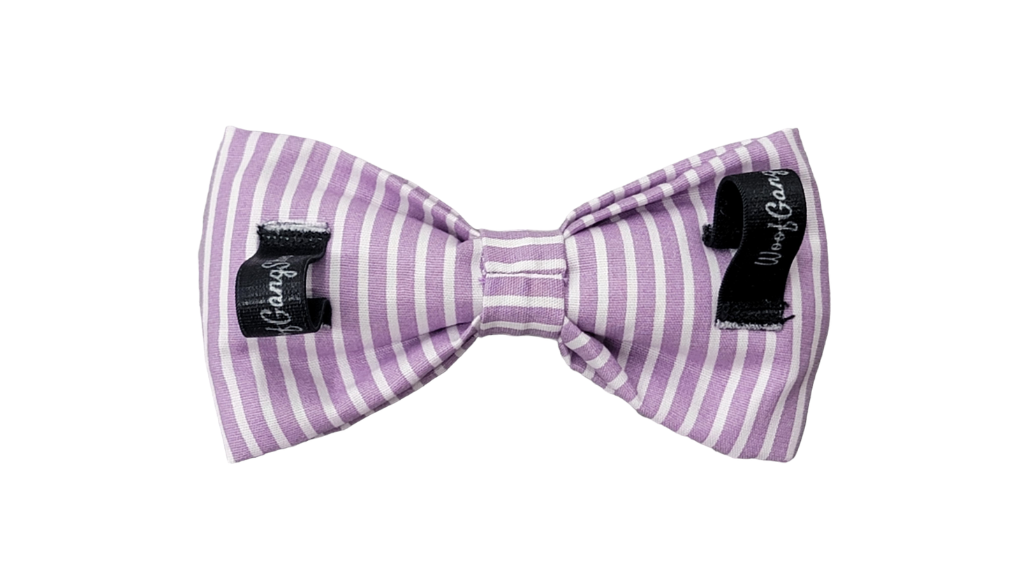 Bowtie - Medium - Purple Stripes