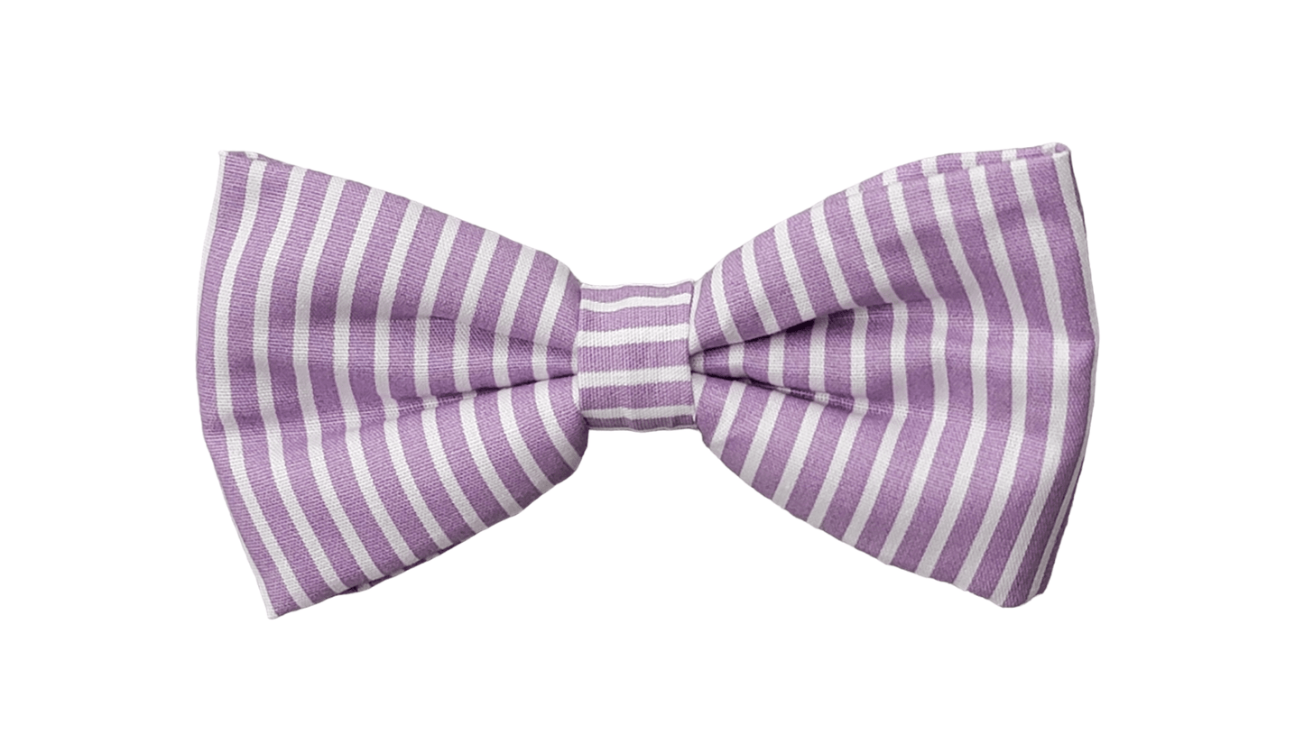 Bowtie - Medium - Purple Stripes - Ruffingdales, Inc