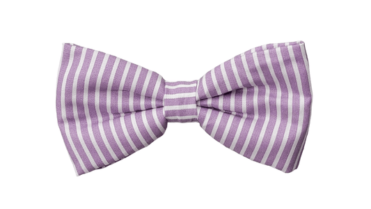 Bowtie - Medium - Purple Stripes - Ruffingdales, Inc

https://ruffingdales.com › products › bowtie-medium-purple-stripes