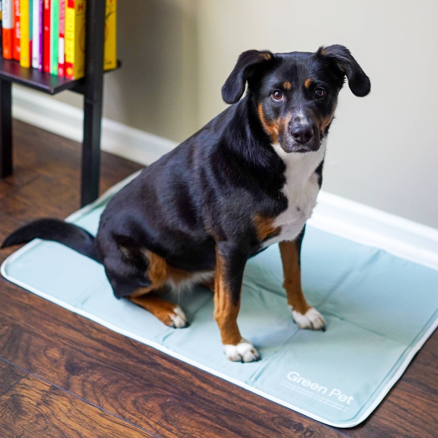 Cool Pet Pad - Ruffingdales, Inc
