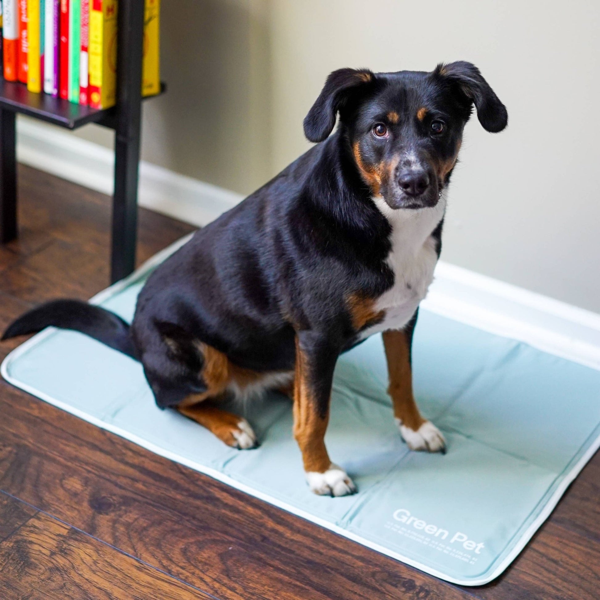 Cool Pet Pad - Ruffingdales, Inc