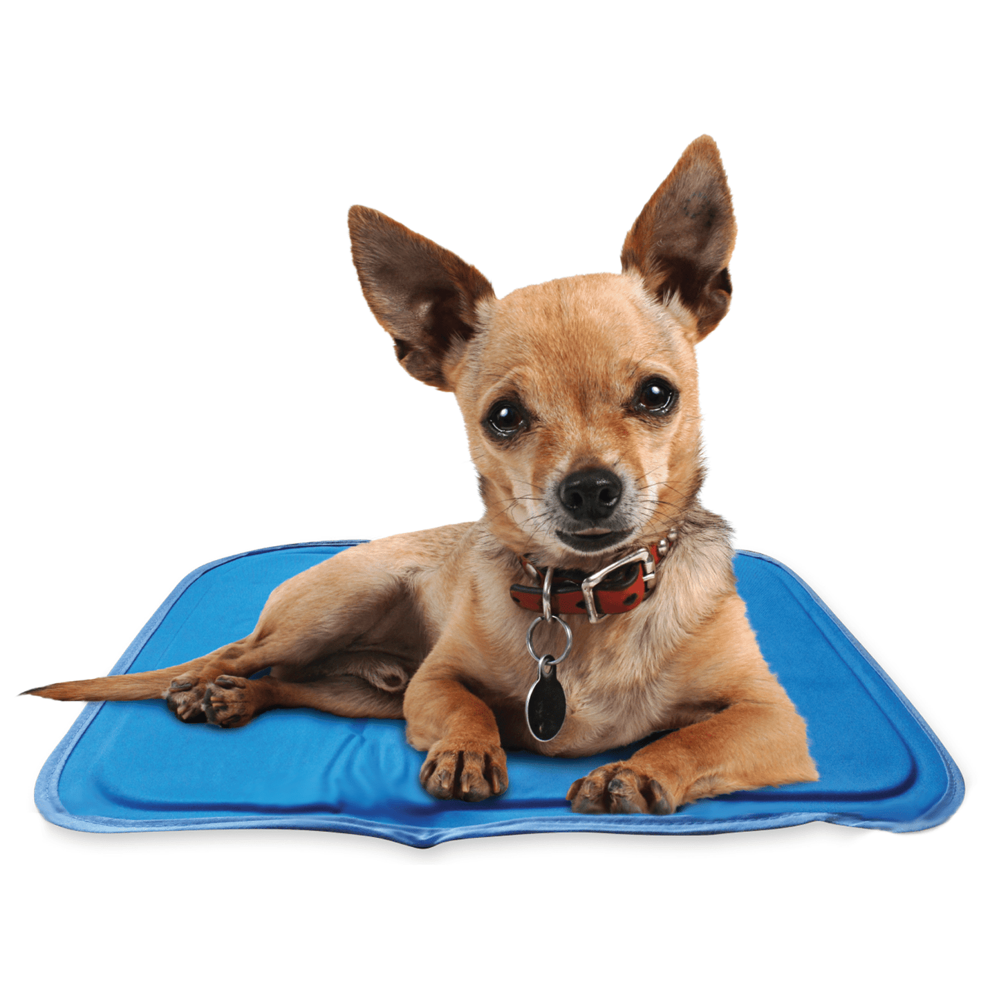 Cool Pet Pad - Ruffingdales, Inc