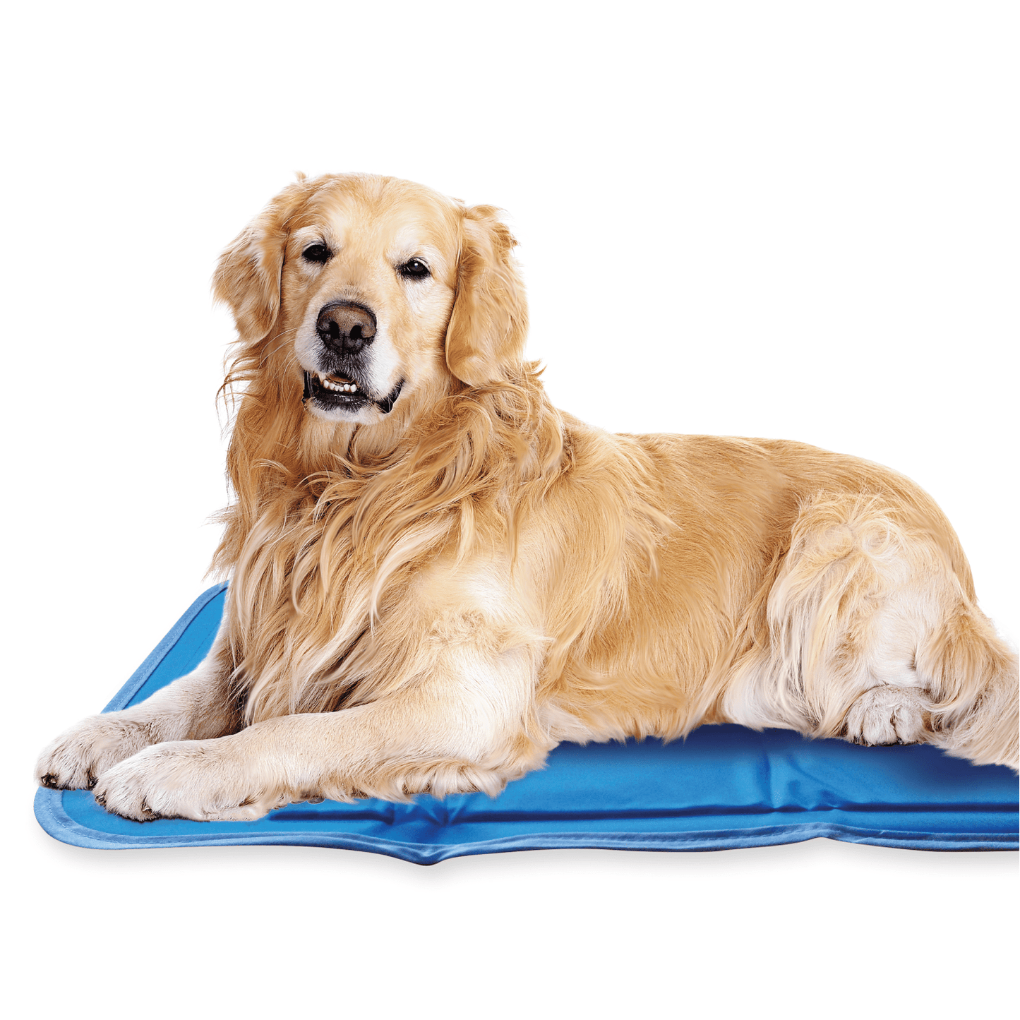 Cool Pet Pad - Ruffingdales, Inc