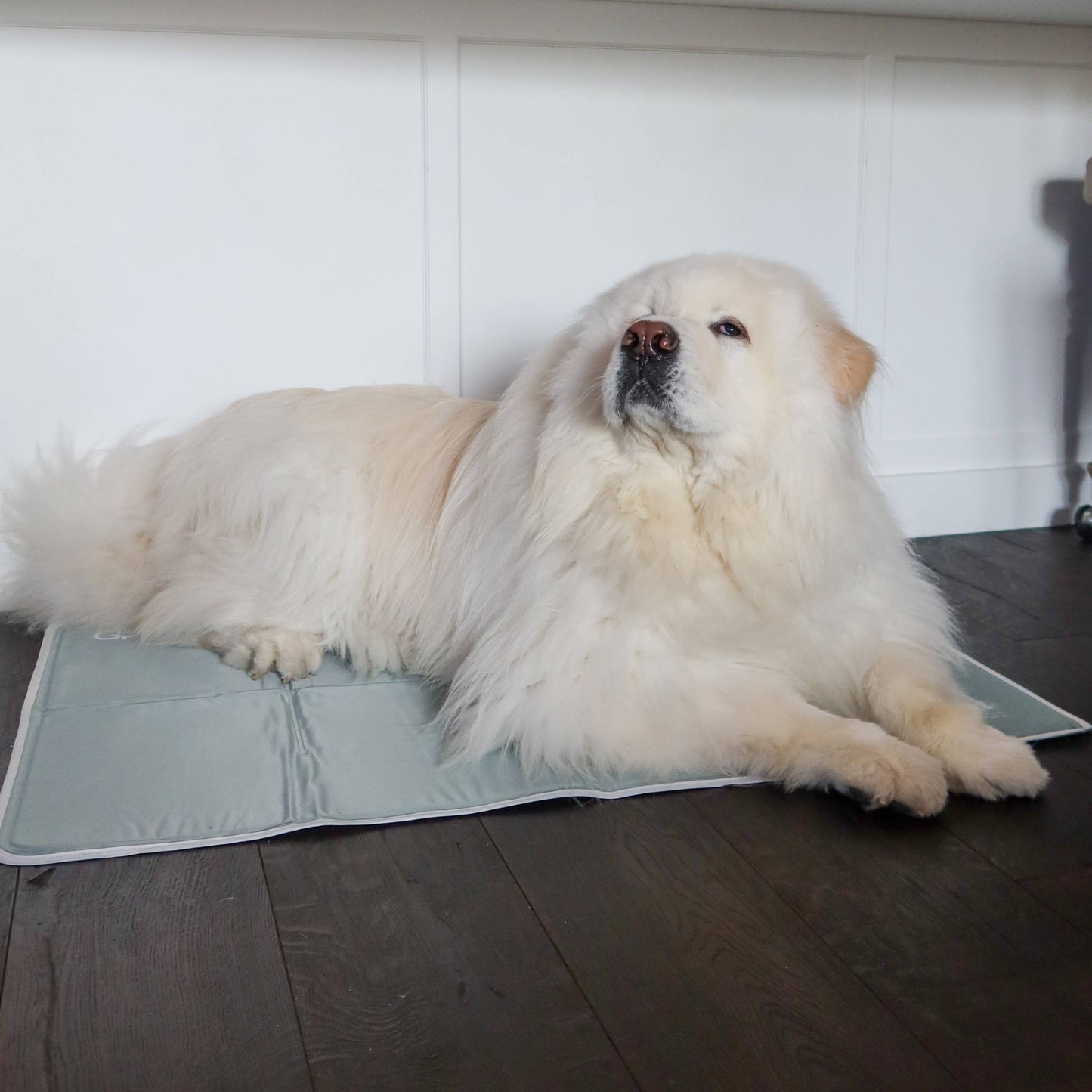 Cool Pet Pad - Ruffingdales, Inc