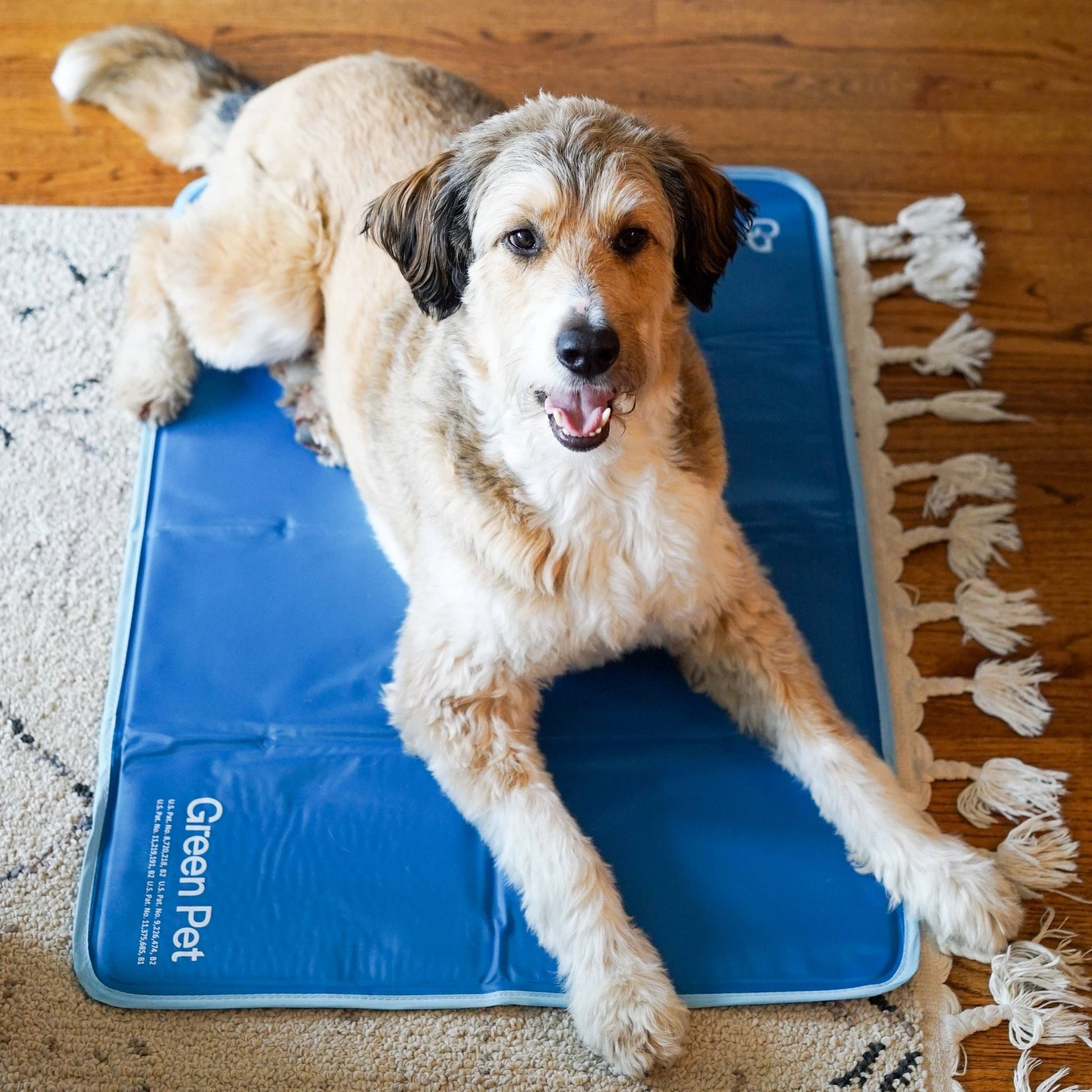 Cool Pet Pad - Ruffingdales, Inc