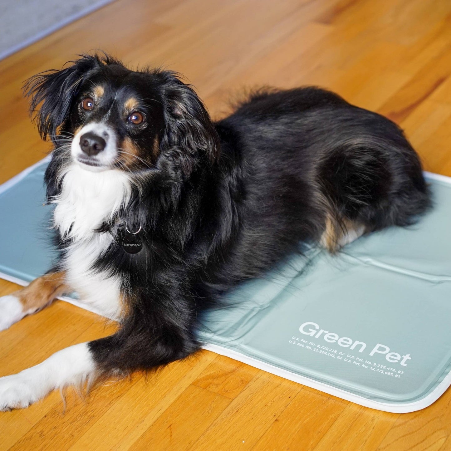 Cool Pet Pad - Ruffingdales, Inc