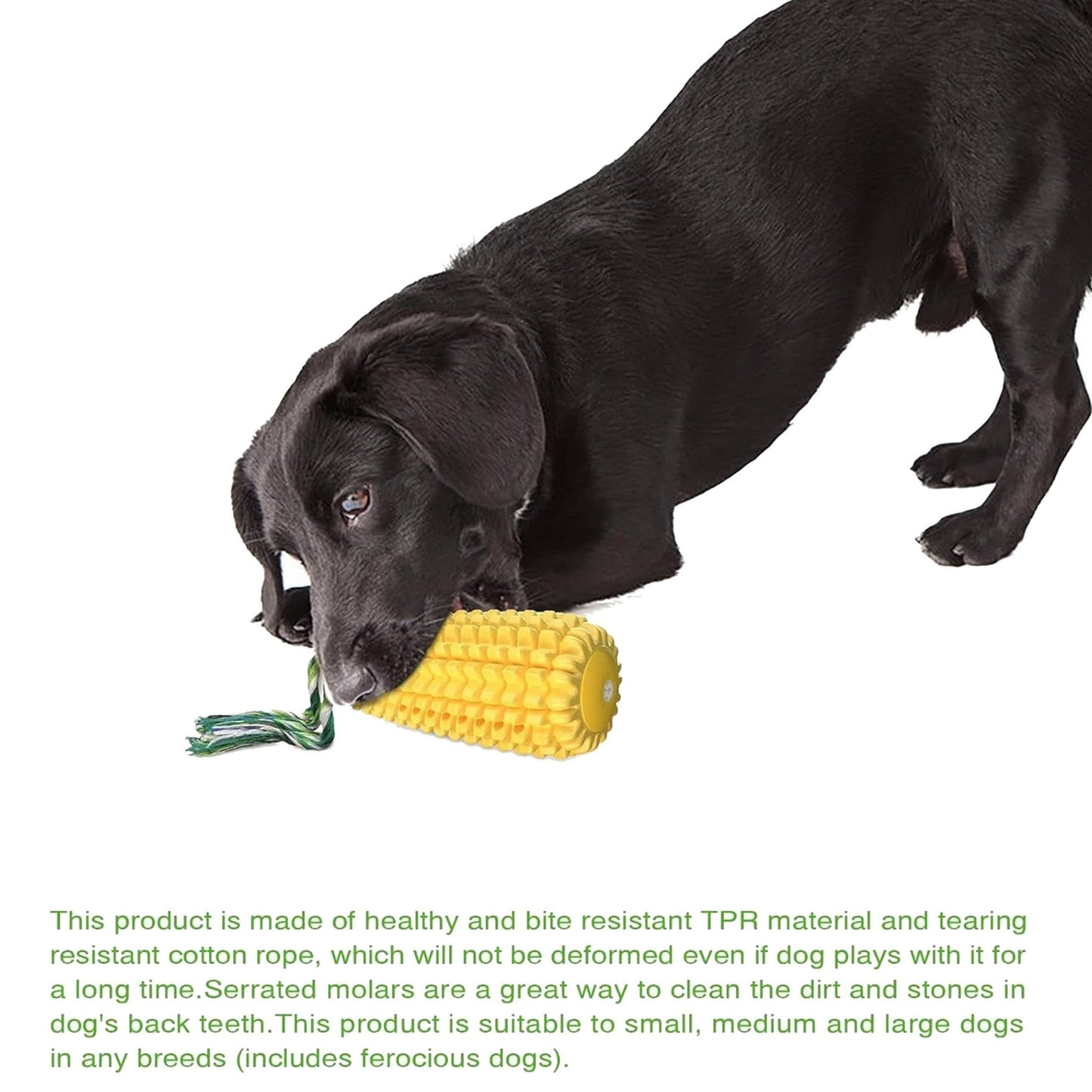 Corn Stick Dental Squeaker Chew Toy - Ruffingdales, Inc