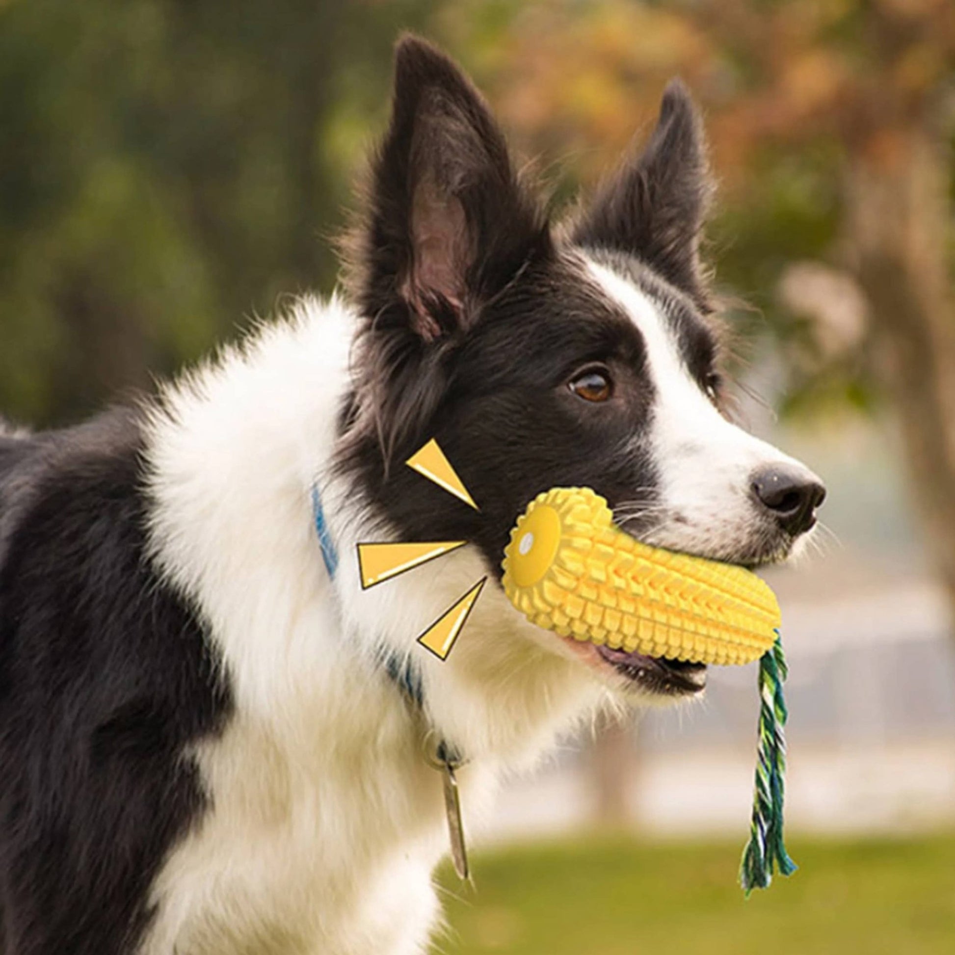 Corn Stick Dental Squeaker Chew Toy - Ruffingdales, Inc