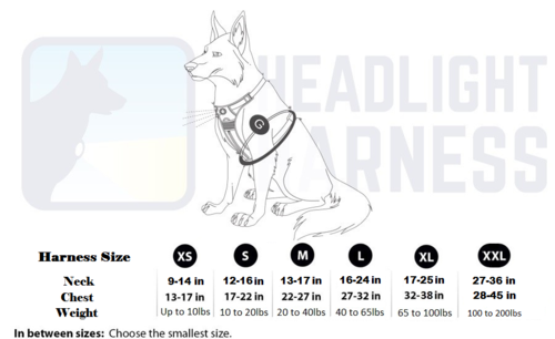 Headlight Harness LED Reflective Harness