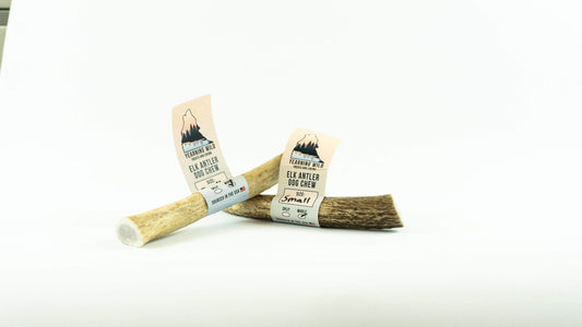 Elk Antler - Whole - Small - Ruffingdales, Inc